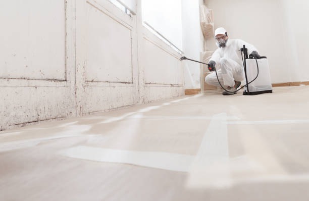 24/7 Emergency Mold Remediation experts in Brunswick, GA