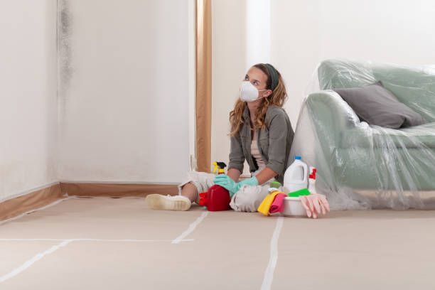 Reliable Mold Remediation contractor in Brunswick, GA by WQB Mold Removal